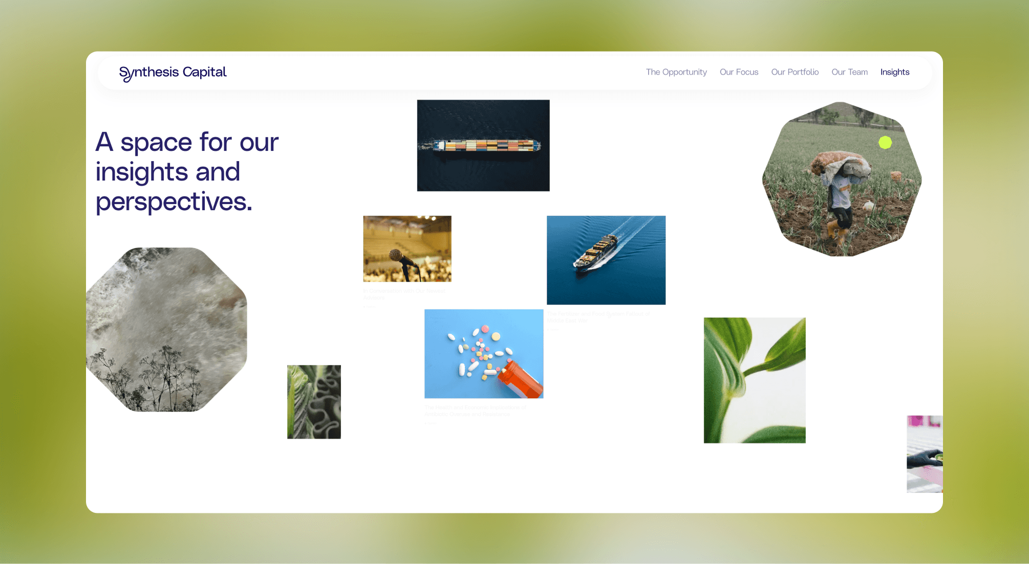 Synthesis Capital digital brand system and UI design by Your Creative