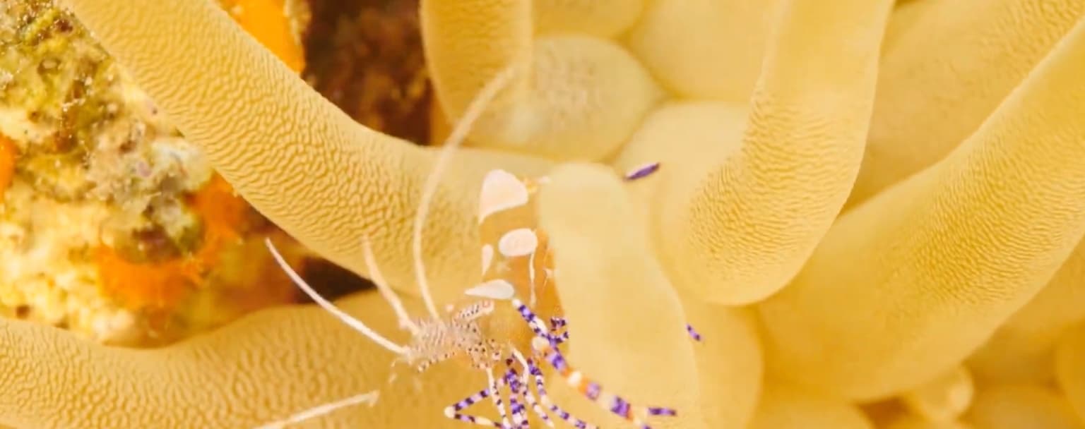 Featured image for Join us for a workshop: The Art of Communicating Science