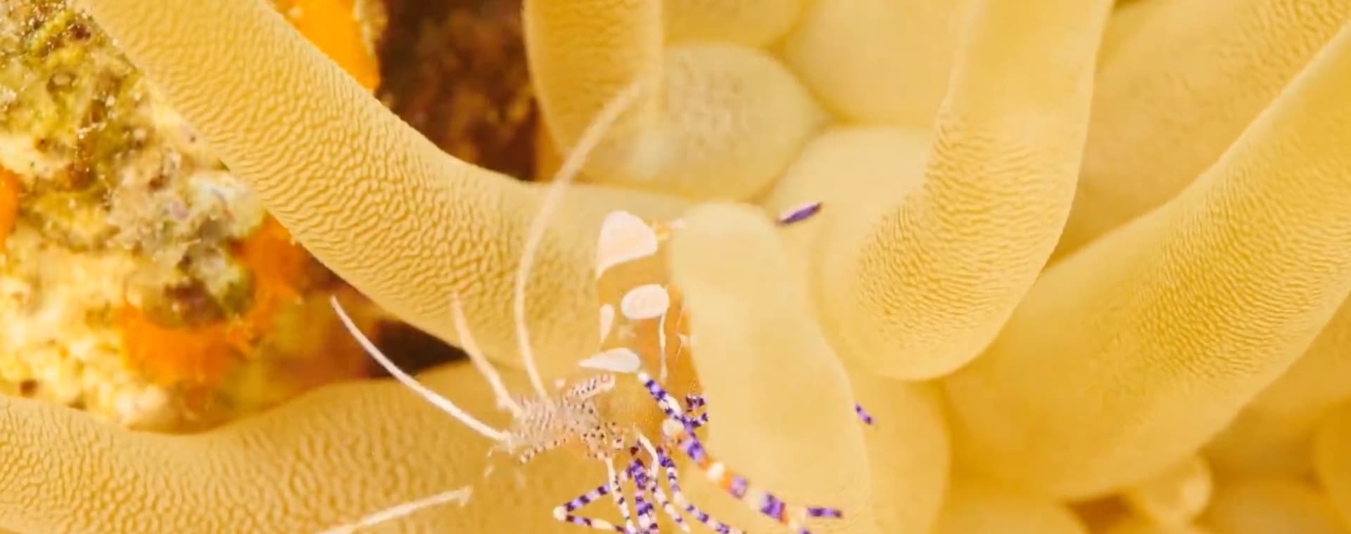 Featured image for Join us for a workshop: The Art of Communicating Science